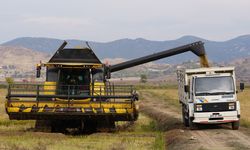 Modern kurutma pirinçte lezzet ve verim kalitesini artırıyor