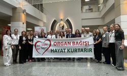 SAĞLIKÇILARDAN UMUDA YEŞİL BİR DOKUNUŞ