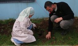 Of'ta Milli Ağaçlandırma Günü kapsamında fidan dikildi