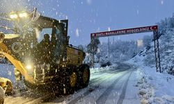 Ordu-Sivas kara yolu kar nedeniyle ulaşıma kapandı