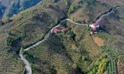 Ordu Tepeköy'de asfalt sevinci