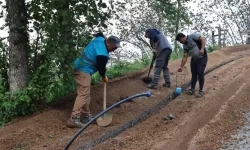 Ordu'da altyapı yatırımları hizmet kalitesini artırıyor