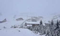Ordu'nun ilçelerindeki yüksek kesimlere kar yağdı