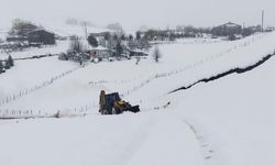 Ordu'nun yüksek kesimlerinde karla mücadele sürüyor