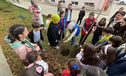 Salıpazarı'nda Milli Ağaçlandırma Günü'nde fidanlar toprakla buluşturuldu