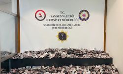 Samsun'da 49 bin uyuşturucu hap ele geçirildi