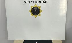 Samsun'da uyuşturucu operasyonunda 2 kişi yakalandı