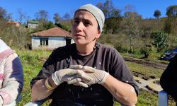 Samsunlu kadın nakkaşlar camilerin duvarlarını motiflerle süslüyor