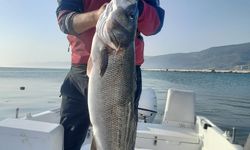 Sinop'ta amatör balıkçı oltayla yaklaşık 10 kilogramlık levrek yakaladı