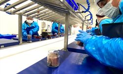 Sinop'ta 'Lakerda ve Su Ürünleri Üretim Tesisi'nin tanıtımı yapıldı