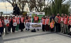 Sinop'ta “Toprağa Saygı” yürüyüşü düzenlendi