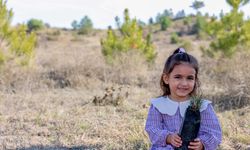 Taşköprü'de Milli Ağaçlandırma Günü'nde 600 fidan dikildi