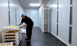 TOGÜ Çiftlik Tarım Ürünleri Kurutma Tesisi öğrencilerin yeni gözdesi oldu