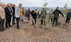 Tokat'ın ilçelerinde Milli Ağaçlandırma Günü'nde fidan dikim etkinliği düzenlendi
