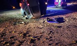 Tokat'ta devrilen hafif ticari araçtaki 3 kişi yaralandı