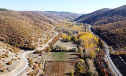 Tokat'ta ormanlarda sonbahar renkleri hakim oldu