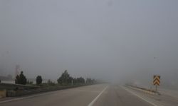 Tokat'ta sis etkili oldu