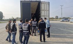 Tokat'ta tırda 11 düzensiz göçmen yakalandı