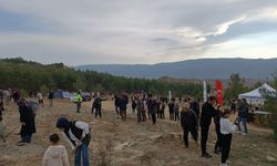 Tosya'da Milli Ağaçlandırma Günü'nde fidan dikimi yapıldı