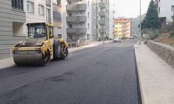 Trabzon Büyükşehir Belediyesi yol yapım, bakım ve onarım çalışmalarını sürdürüyor