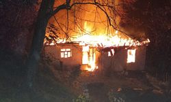 Trabzon'da tek katlı evde çıkan yangın söndürüldü