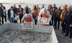 BALIKLAR DAĞITILDI, MANGALLAR YANDI...