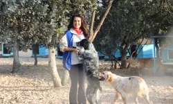 YASAV minik dostlara umut oldu