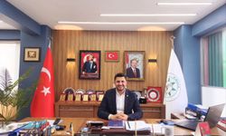 Yığılca Belediye Başkanı Savaş'tan 'gök taşı' açıklaması: