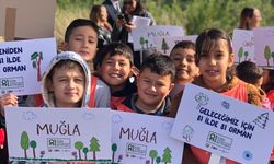 '81 İlde 81 Orman' projesi Muğla'da 20 bin fidanla sürüyor