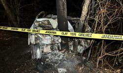 FECİ KAZADA HAYATINI KAYBETTİ!