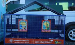 Akçaabat Belediyesi 'Geri Dönüşüm Evi' uygulamasını hayata geçirdi