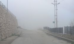 Amasya'da sis etkili oldu