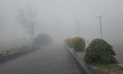 Amasya'da sis etkili oluyor