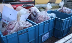 Antalya otogarında 270 kilo uygunsuz taşınan et bulundu