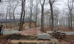 Asarcık Tongel Dağı'nda mesire alanı yapılıyor