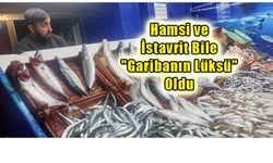 BALIK FİYATLARI UÇUŞTA