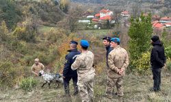 Bartın'da ormanda kaybolan yaşlı kadın ölü bulundu