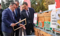 Bilecik'te arıcılara bin yeni kovan dağıtıldı