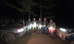 Bolu'da kaçak avcılıkla mücadele çalışmaları sürüyor