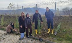 Bolu'dan kısa kısa