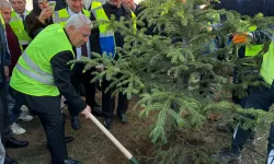 Bursa Büyükşehir'den 15 bin fidanlı 'Hatıra Ormanı'
