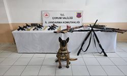 Çorum'da düğünlerde havaya ateş ettikleri belirlenen 11 kişi yakalandı