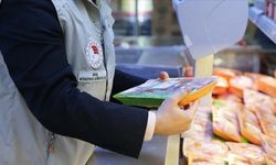 HAYVANSAL GIDALARA SIKI DENETİM