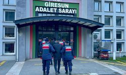 Giresun'da uyuşturucu operasyonunda yakalanan 2 şüpheli tutuklandı