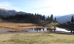 Gölyanı Yaylası ziyaretçilerini doğal güzellikleriyle karşılıyor