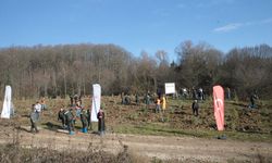 Grand Kartal Otel yangınında hayatını kaybeden 78 kişi anısına hatıra ormanı oluşturuldu