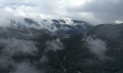 Ilgaz Dağı'nda kar ve sis etkili oldu