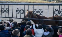 İzmirli çocuklara hayvan sevgisi kazandırılıyor