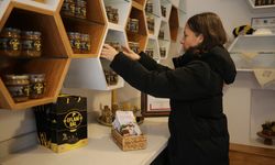 Karabük'te gençlerin ve kadınların istihdamını hedefleyen arıcılık projesi tamamlandı