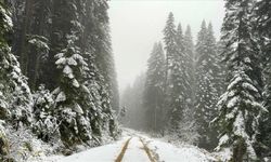 Karabük'ün yüksek kesimleri beyaza büründü